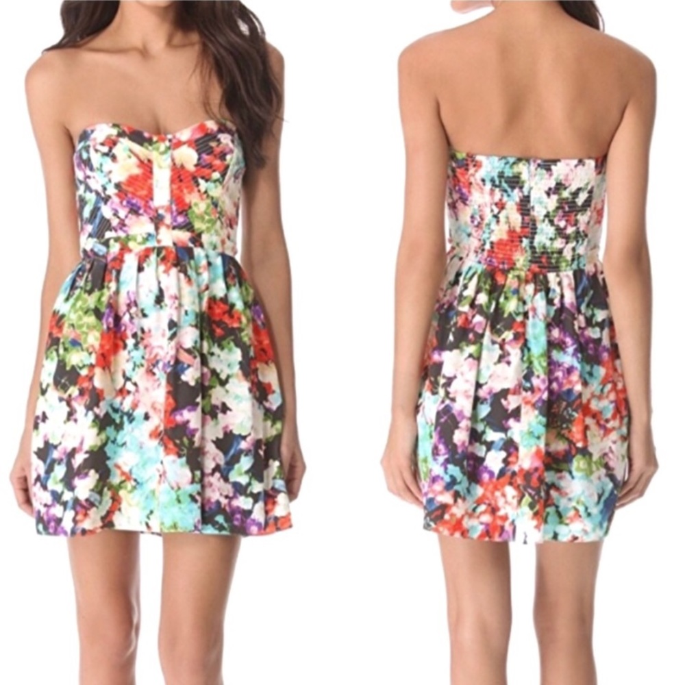 Parker Lily Secret Garden Silk Strapless Dress
